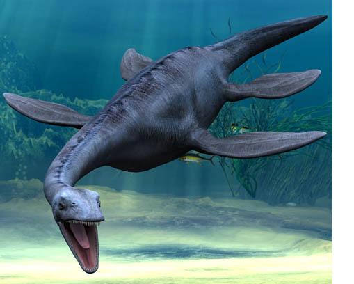 the plesiosaur